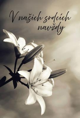 Přání K - Kondolence 1