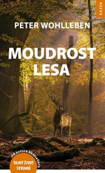 Moudrost lesa